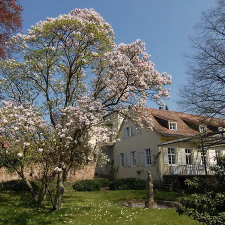 ホテル Ketschauer Hof ダイデスハイム